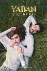Yaban Cicekleri VOSTFR
