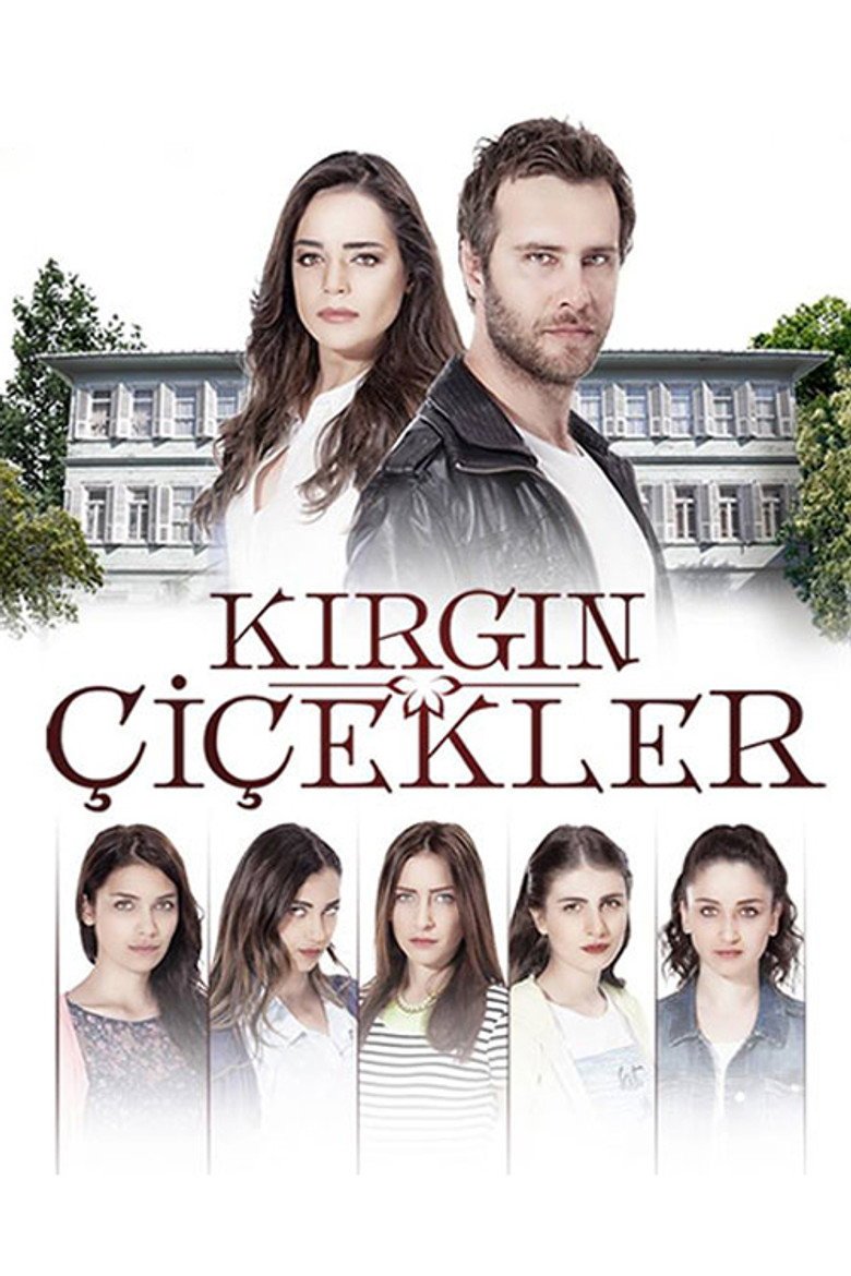 Kırgın Çiçekler affiche