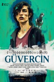 Guvercin – Le pigeon VOSTFR