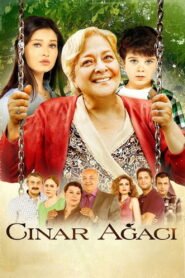 Cinar Agaci VOSTFR