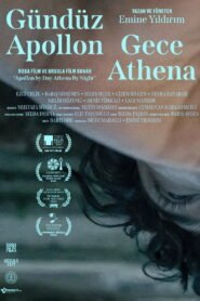 Gunduz Apollon Gece Athena VOSTFR