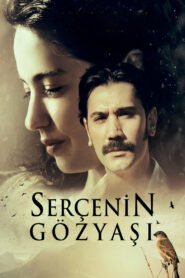 Serçenin Gözyaşı VOSTFR