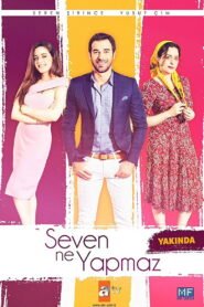 Seven Ne Yapmaz VOSTFR
